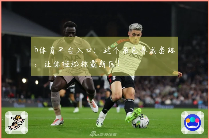 b体育平台入口：这个角色养成套路，让你轻松称霸新区！