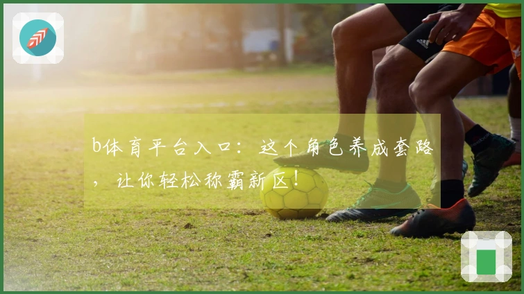 b体育平台入口：这个角色养成套路，让你轻松称霸新区！